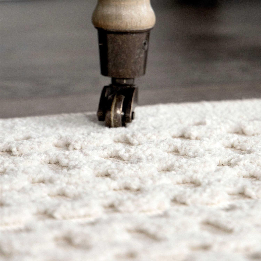 My Texas House Area Rug