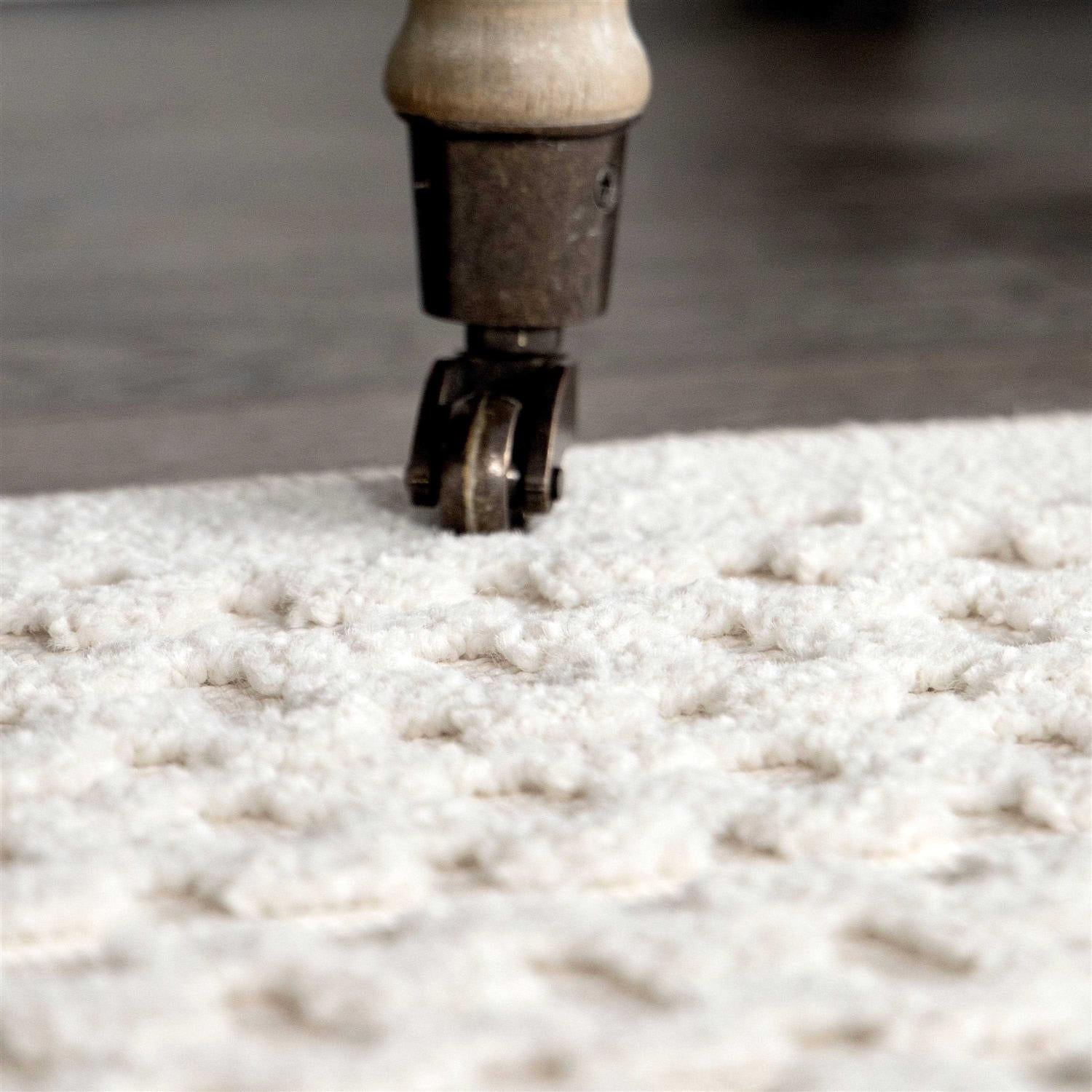 My Texas House Area Rug