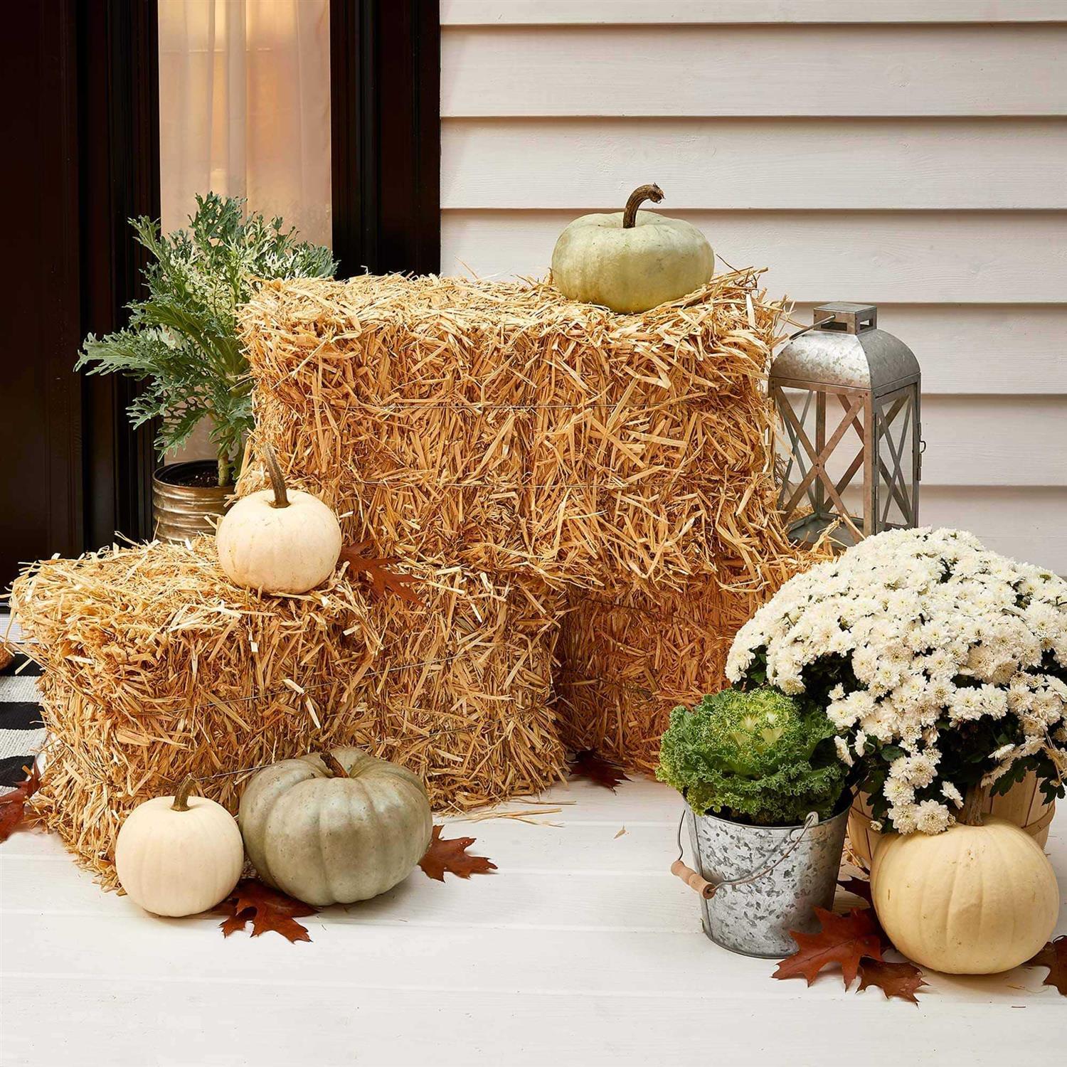 Straw Bale by Ashland
