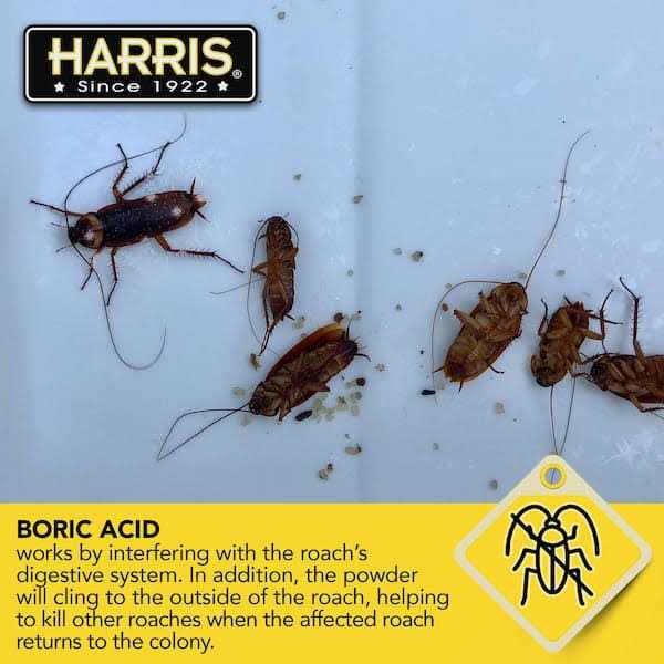 Harris Boric Acid Roach Powder