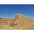 Green Stripe Premium 100% Natural Wheat Straw Grass Harvested 2022, Farmer Direct
