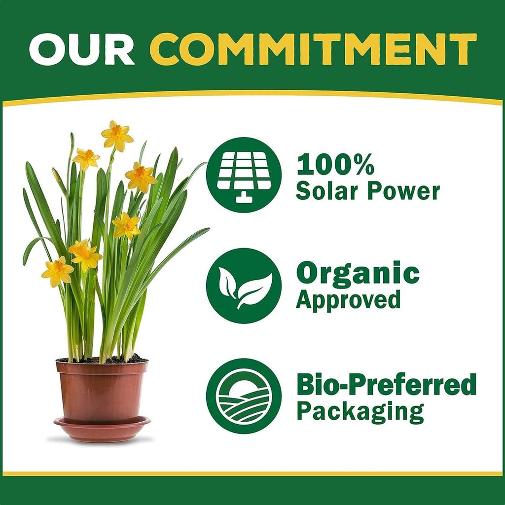 Espoma Organic Bone Meal