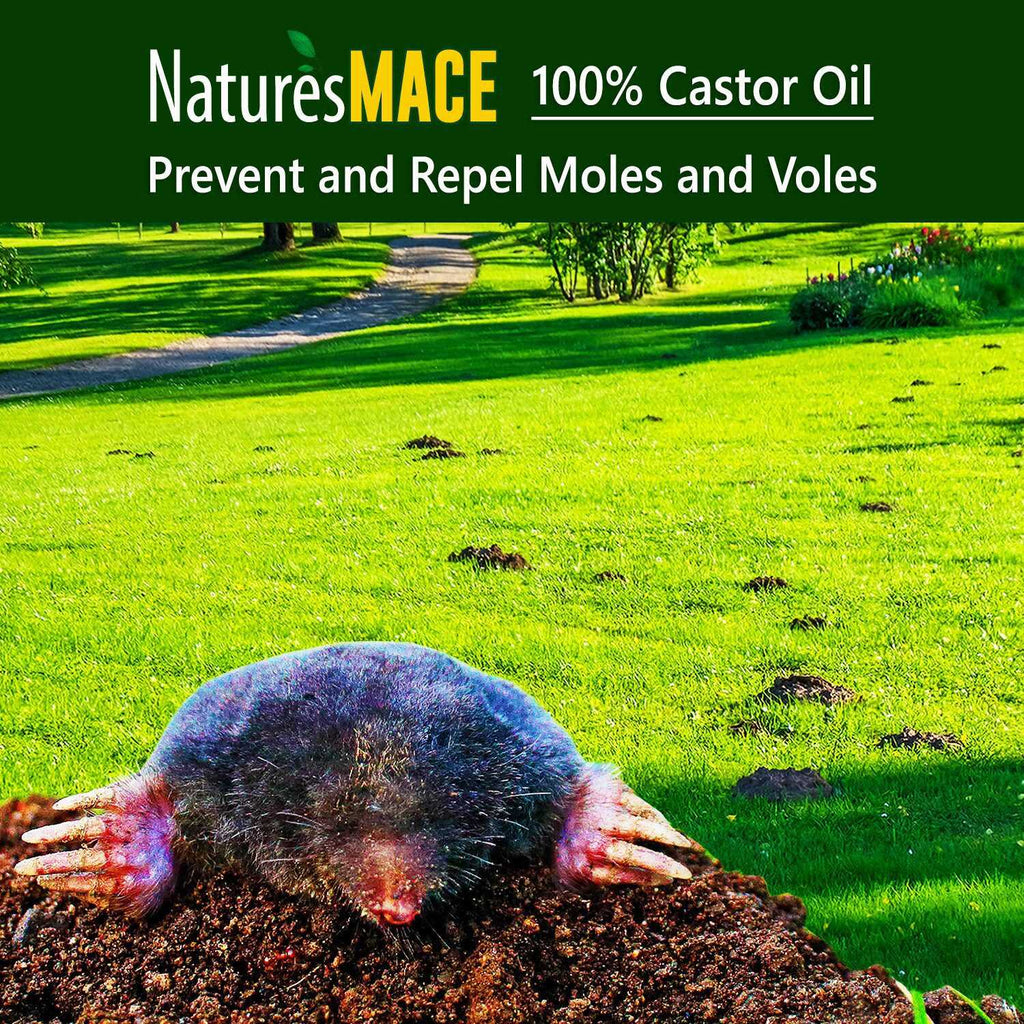 Nature’s Mace Mole & Vole Repellent 1 Gallon Pure Castor Oil Concentrate Covers up to 20,000 Sq Ft