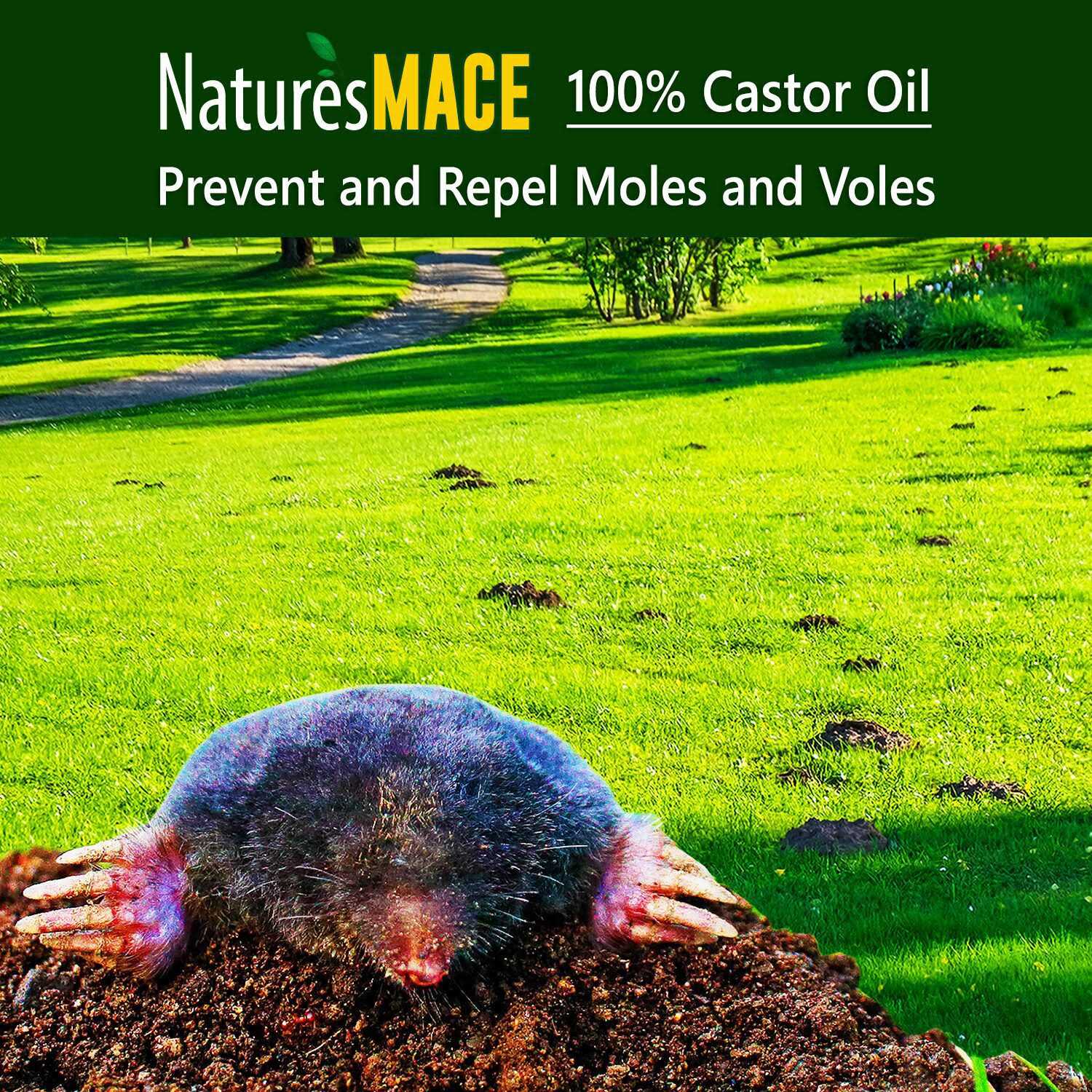 Nature’s Mace Mole & Vole Repellent 1 Gallon Pure Castor Oil Concentrate Covers up to 20,000 Sq Ft