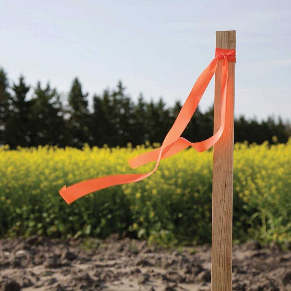 Lowe’s 12-Pack Wood Landscape Stake