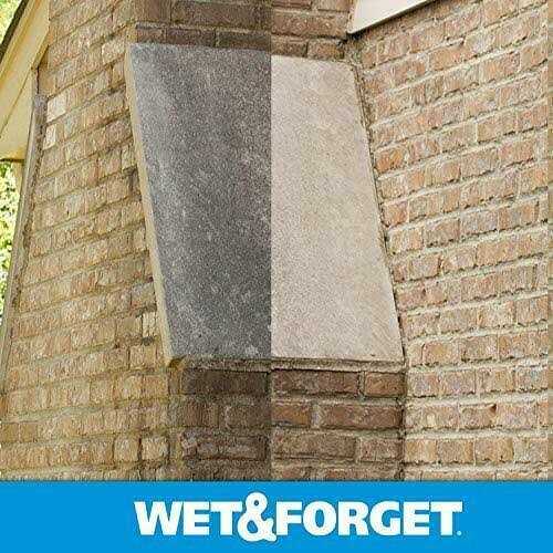 Wet & Forget Moss Mold & Mildew Stain Remover