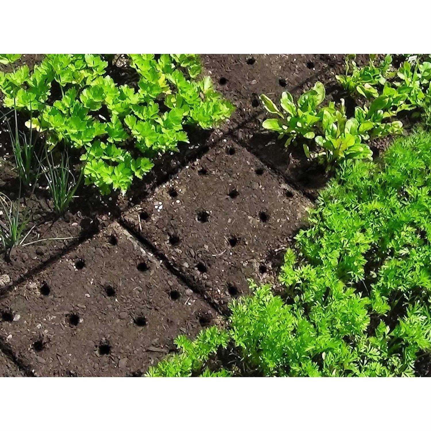 Seeding Square-Square Foot Gardening Template-Seed Sowing Tool Kit Comes