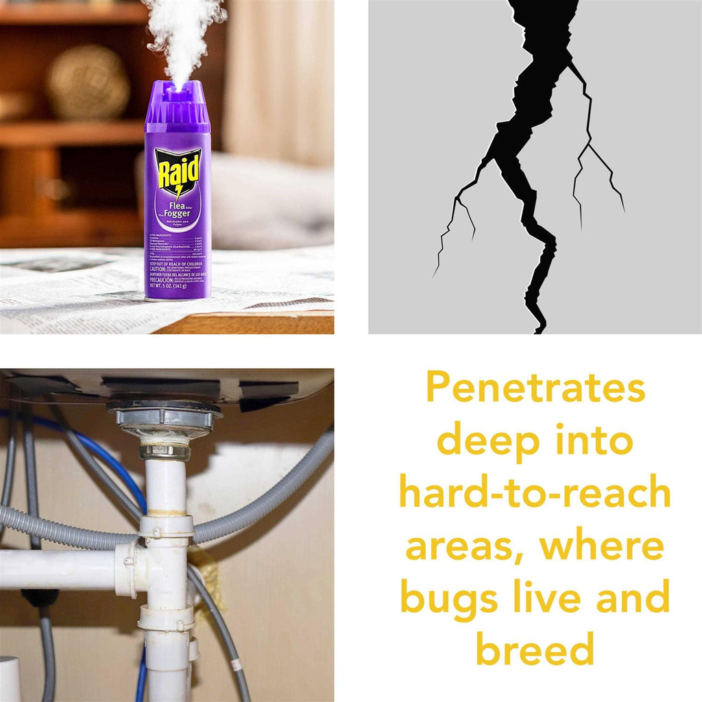 Raid Flea Killer Plus Fogger