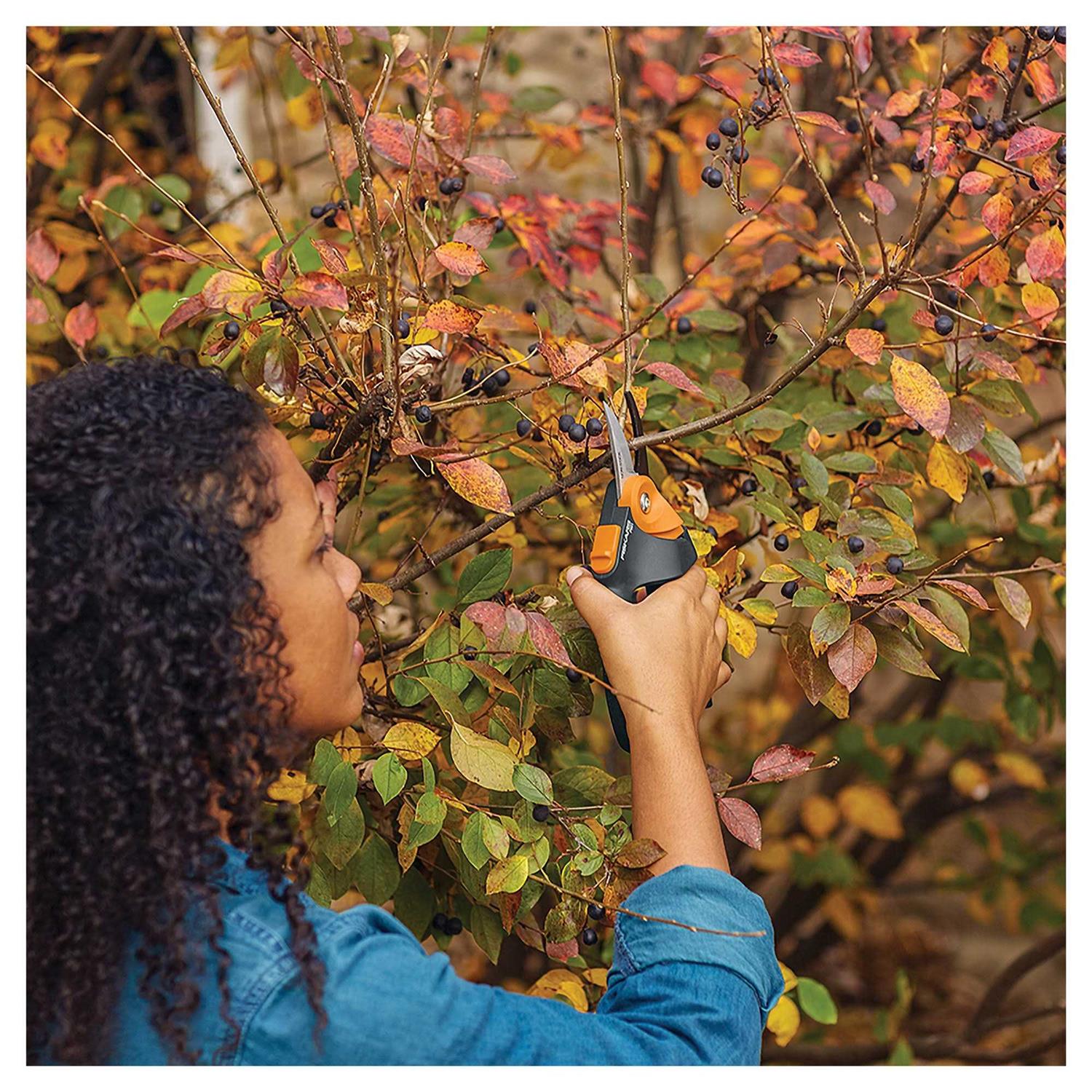 Fiskars Bypass Pruner