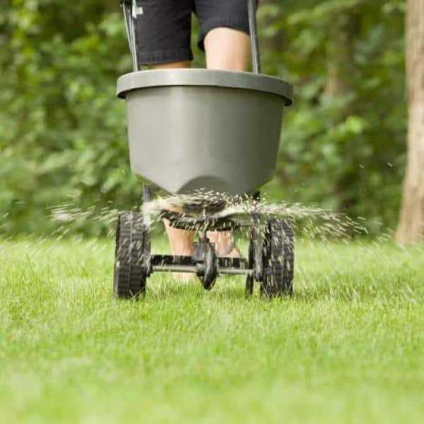 Lilly Miller Moss Out Granules