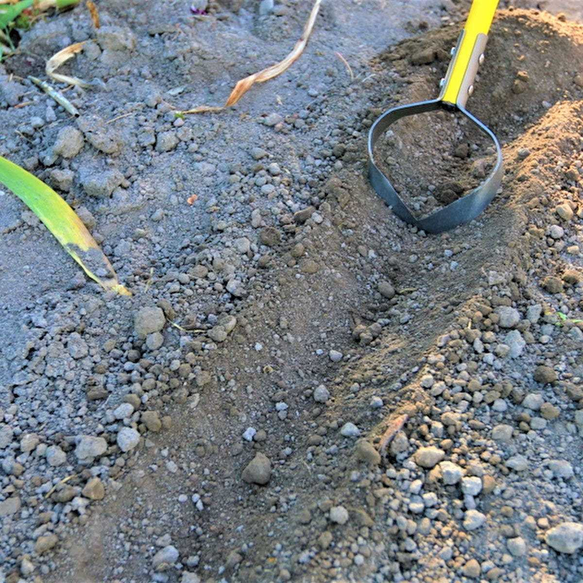 Skidger Xtreme Weeder