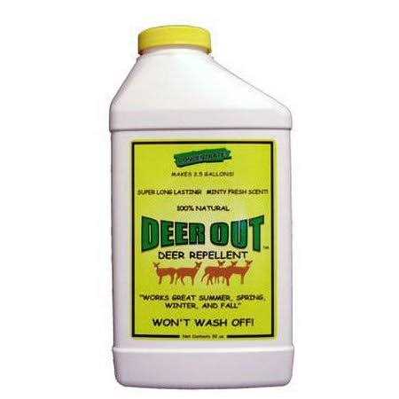 Deer Out Concentrate Deer Repellent