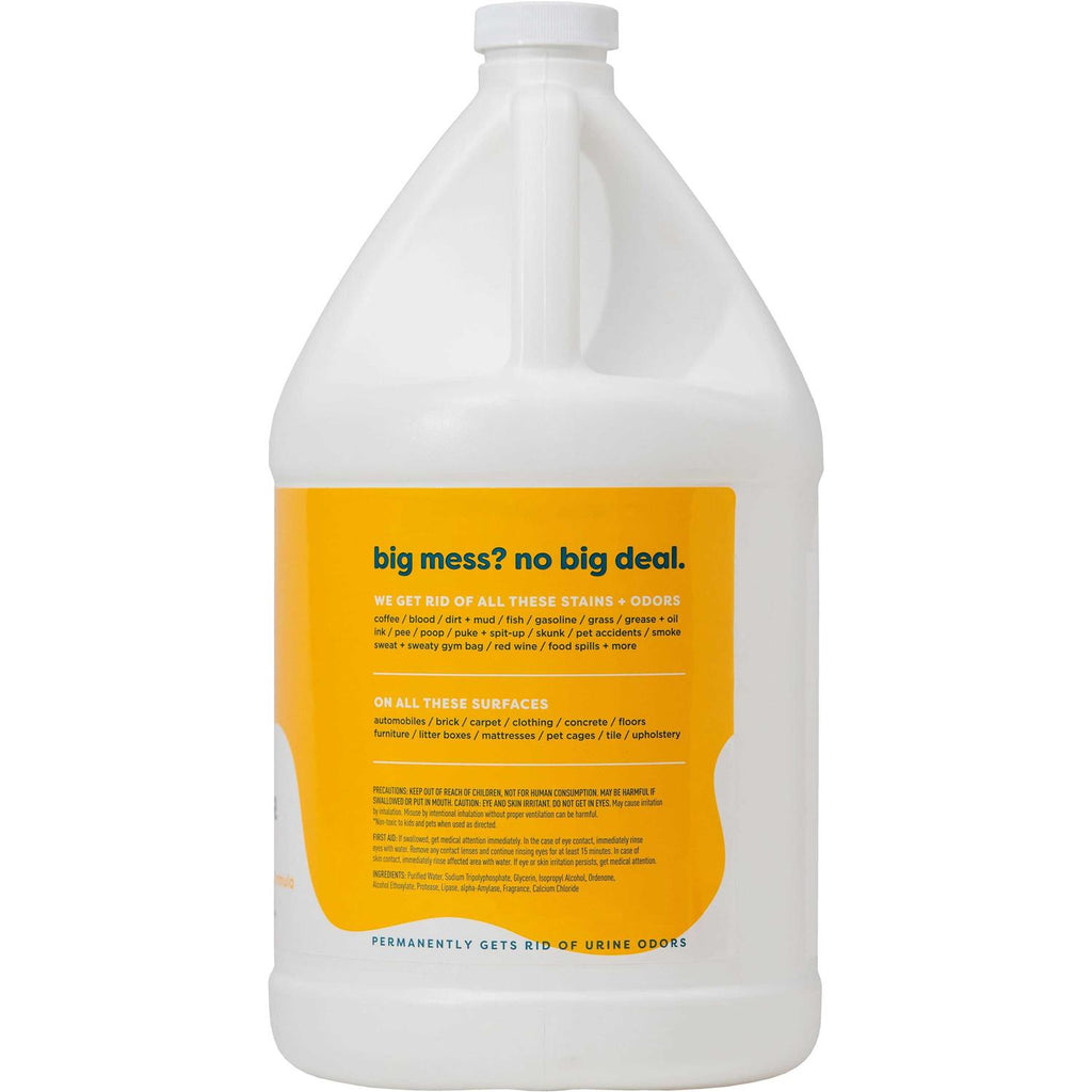 Kids ‘N’ Pets Instant All-Purpose Stain Odor Remover