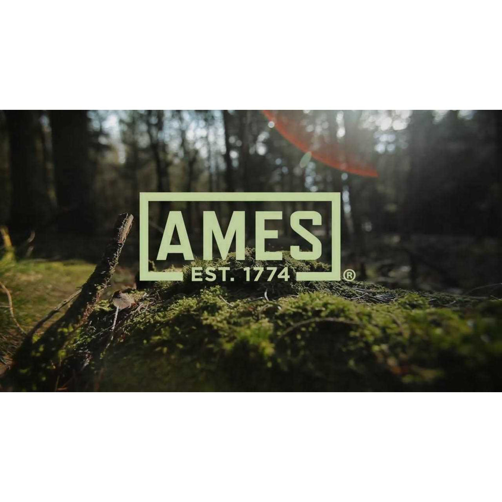 Ames 2826300 Bedding Fork 10 Tine