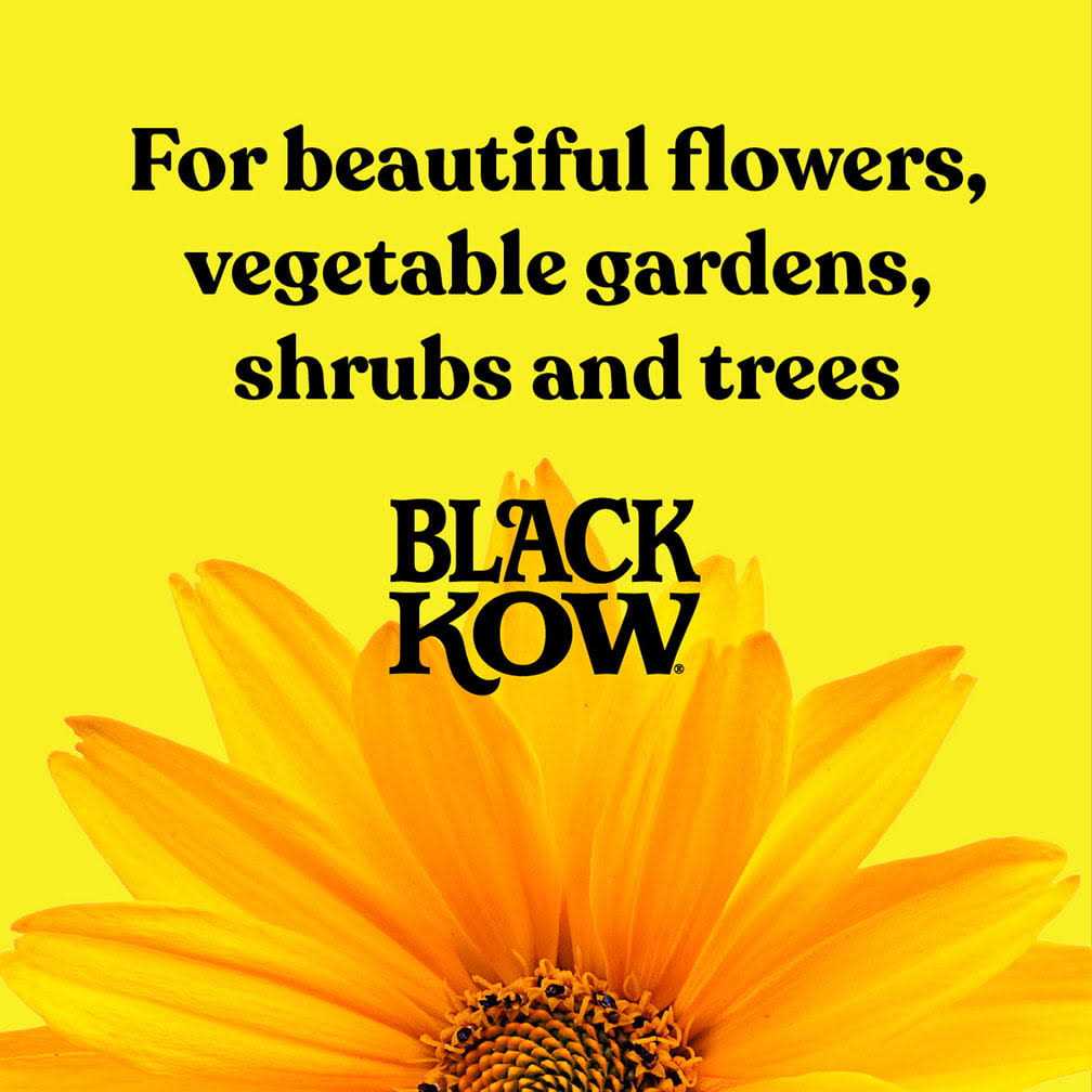 Black Kow Cow Manure