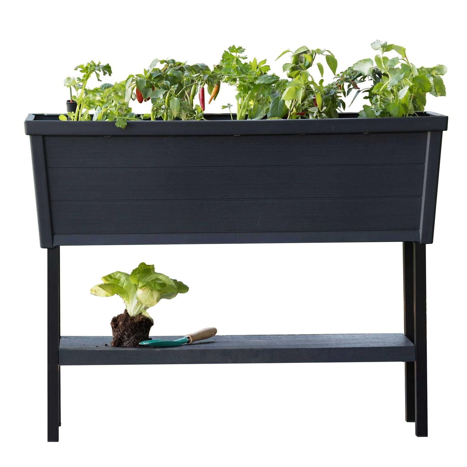 Keter 236157 Urban Bloomer Resin Elevated Planter Raised Garden Bed