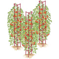 Gardener’s Supply Company Tomato Ladders Set of 3