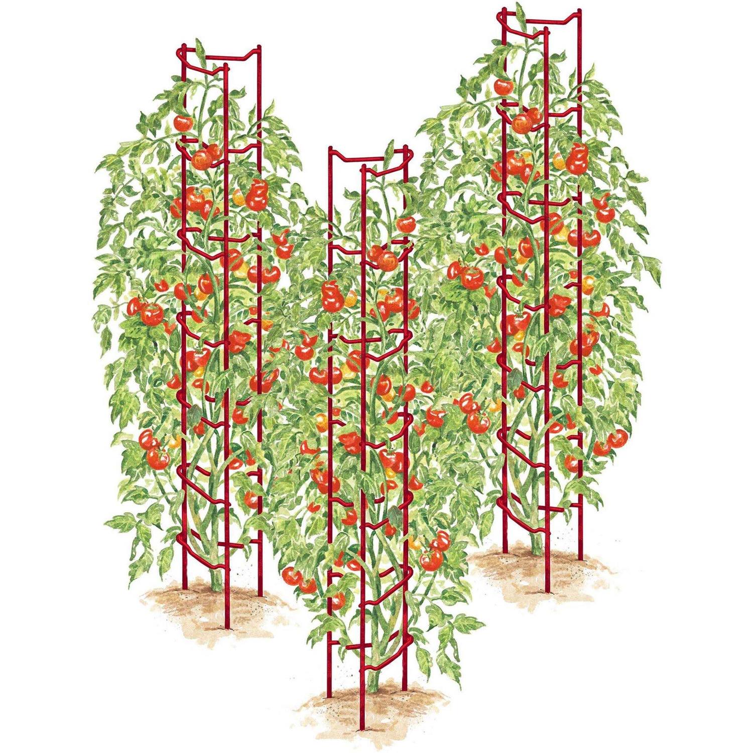 Gardener’s Supply Company Tomato Ladders Set of 3