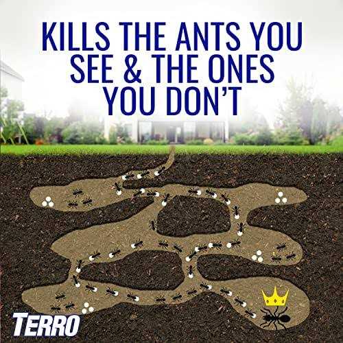 Terro Outdoor Liquid Ant Killer Bait Stakes T1812
