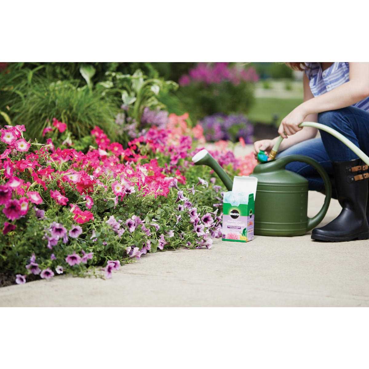 Miracle Gro Bloom Booster Flower Food