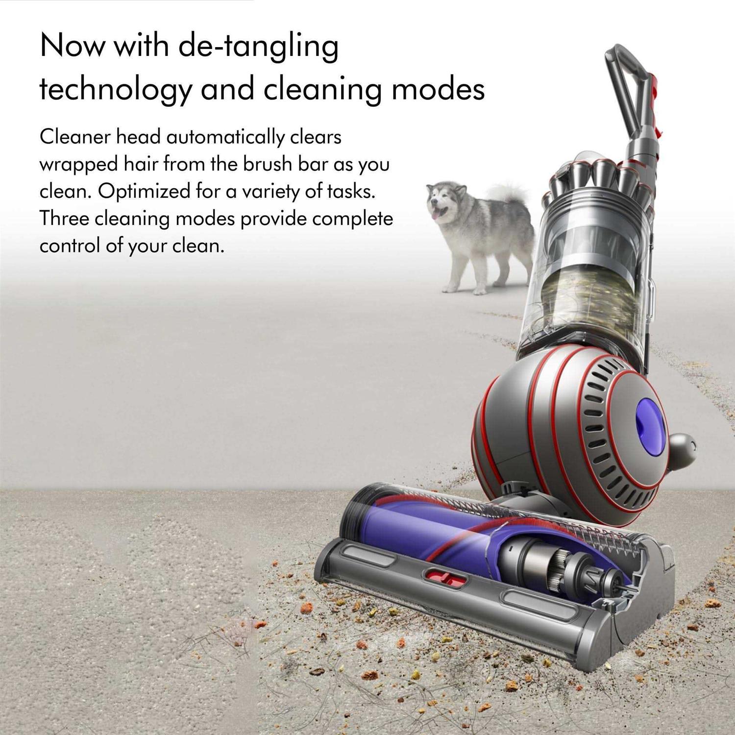 Dyson Ball Animal 3