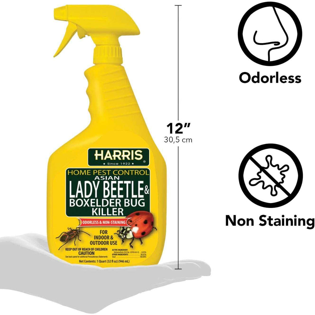 Harris Asian Lady Beetle & Box Elder Bug Killer