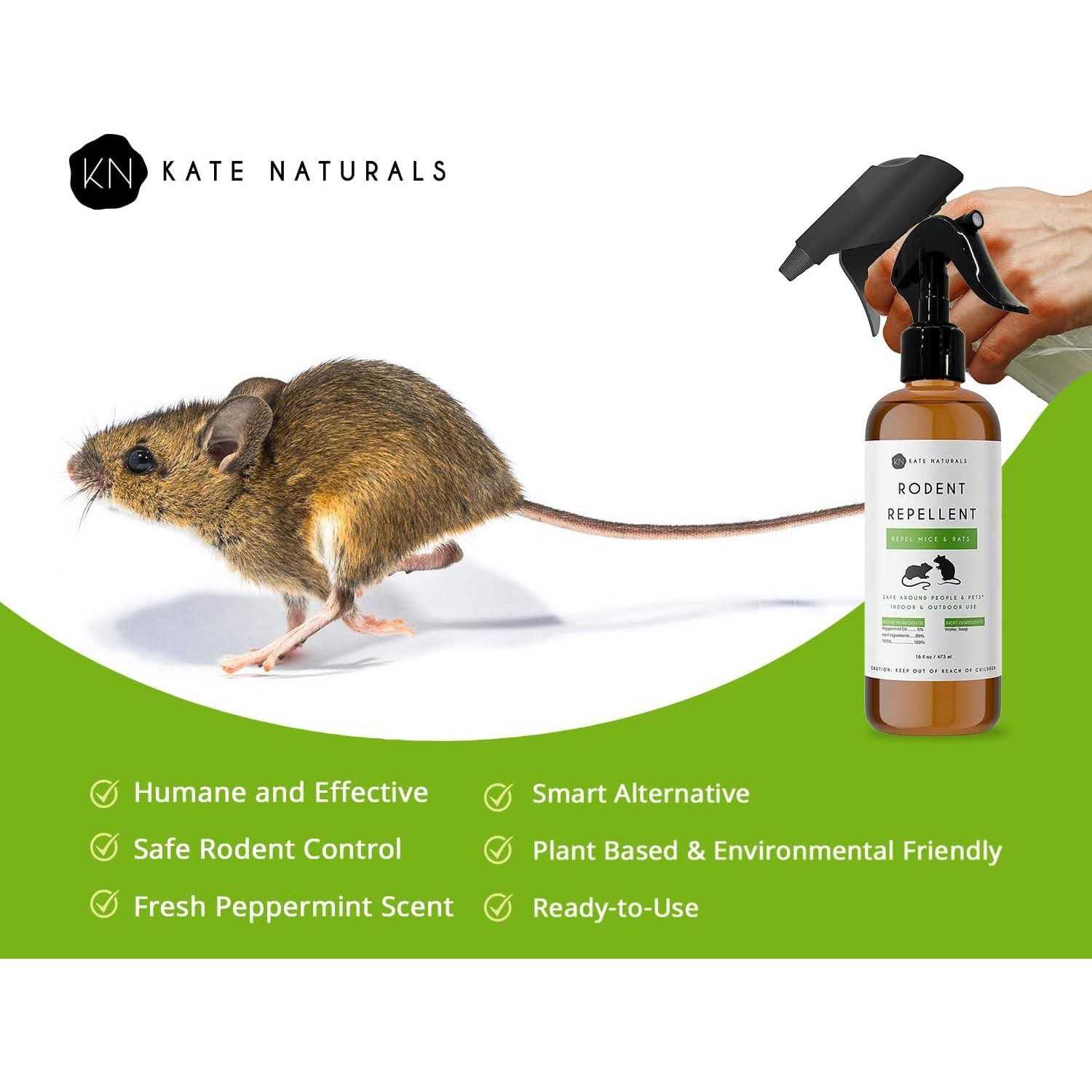 Rodent Repellent Spray with Peppermint Oil by Kate Naturals. Formulated with Peppermint Oil to Repel Mice and Rats. Non-Toxic Peppermint Spray