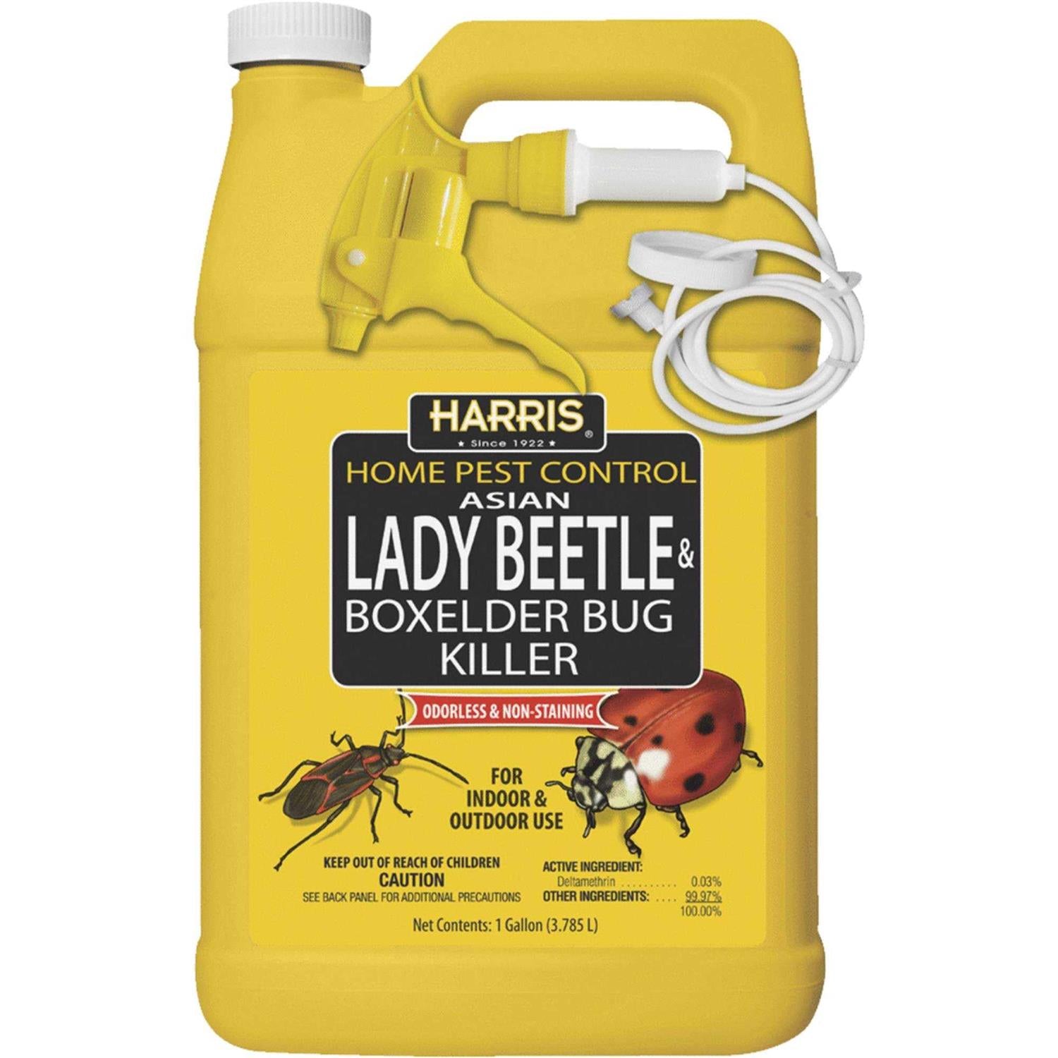 Harris Asian Lady Beetle & Box Elder Bug Killer