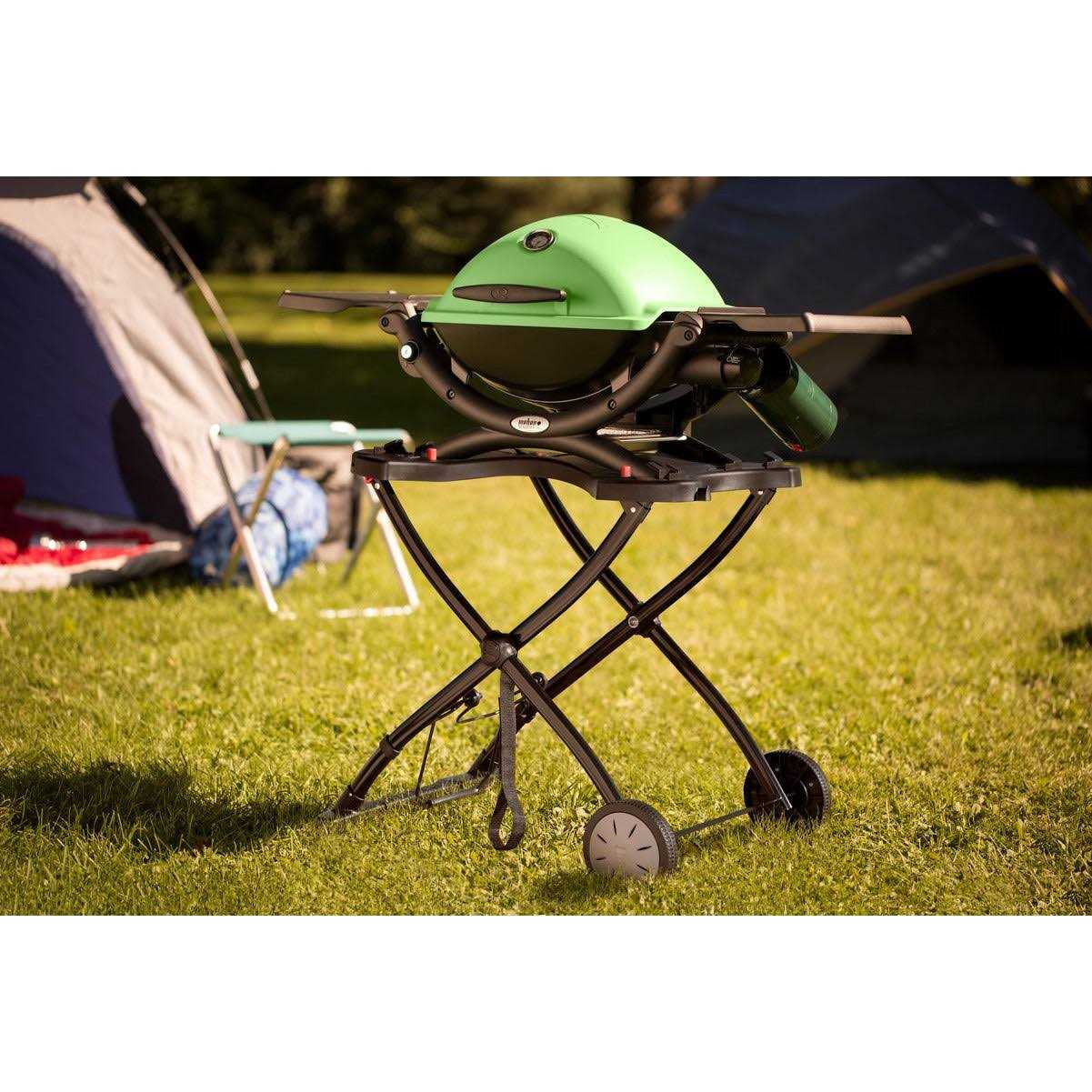 Weber Q 1200
