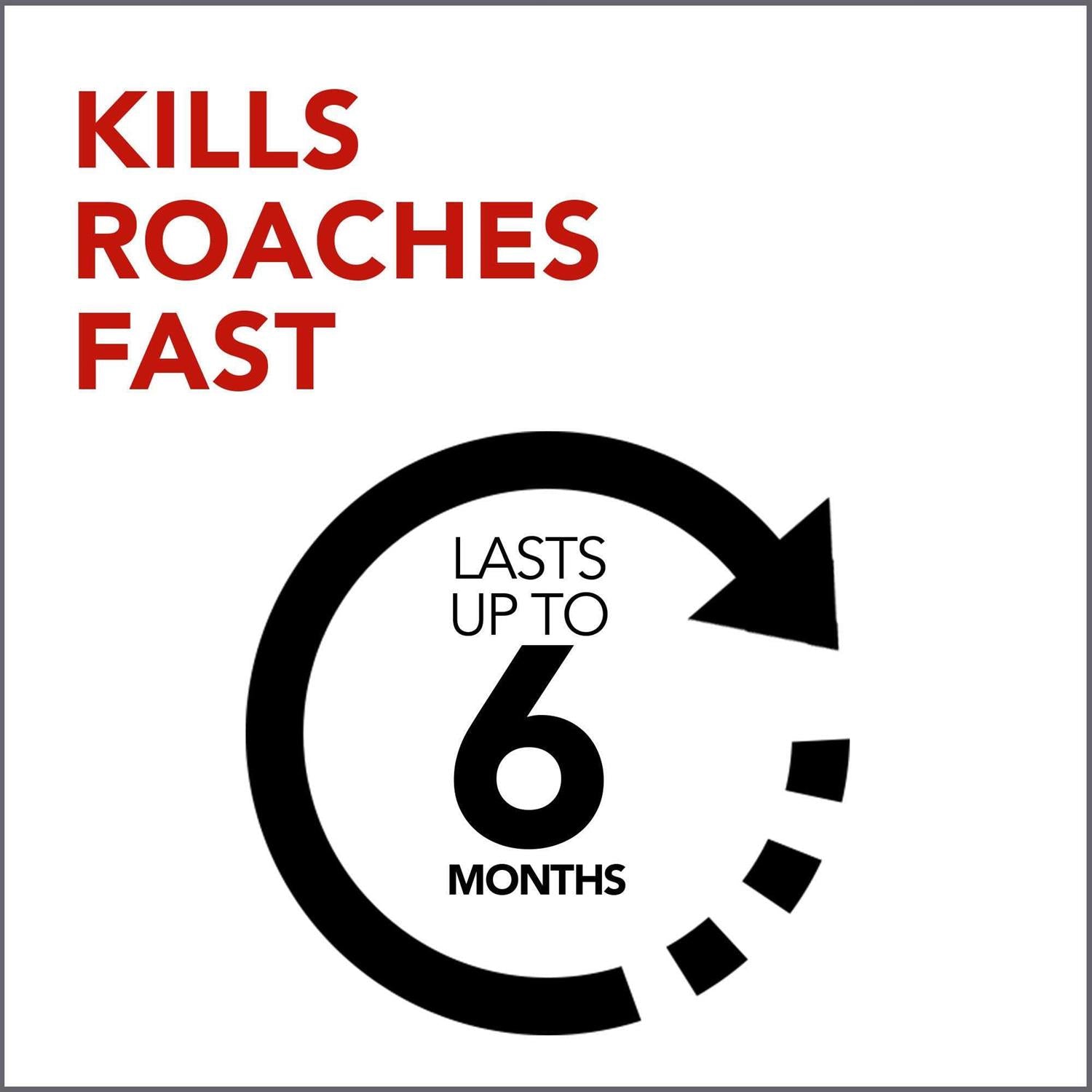 Raid Max Ant & Roach Killer