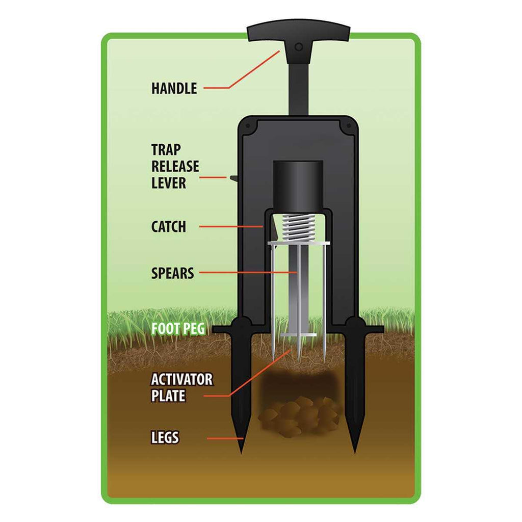 Victor Deadset Mole Trap