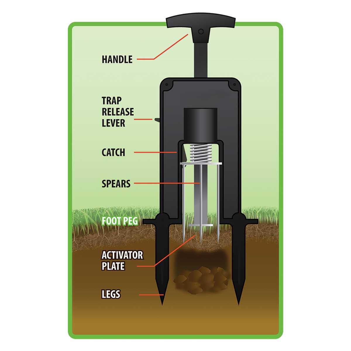 Victor Deadset Mole Trap