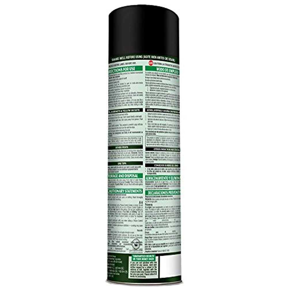 Spectracide Wasp Hornet Killer