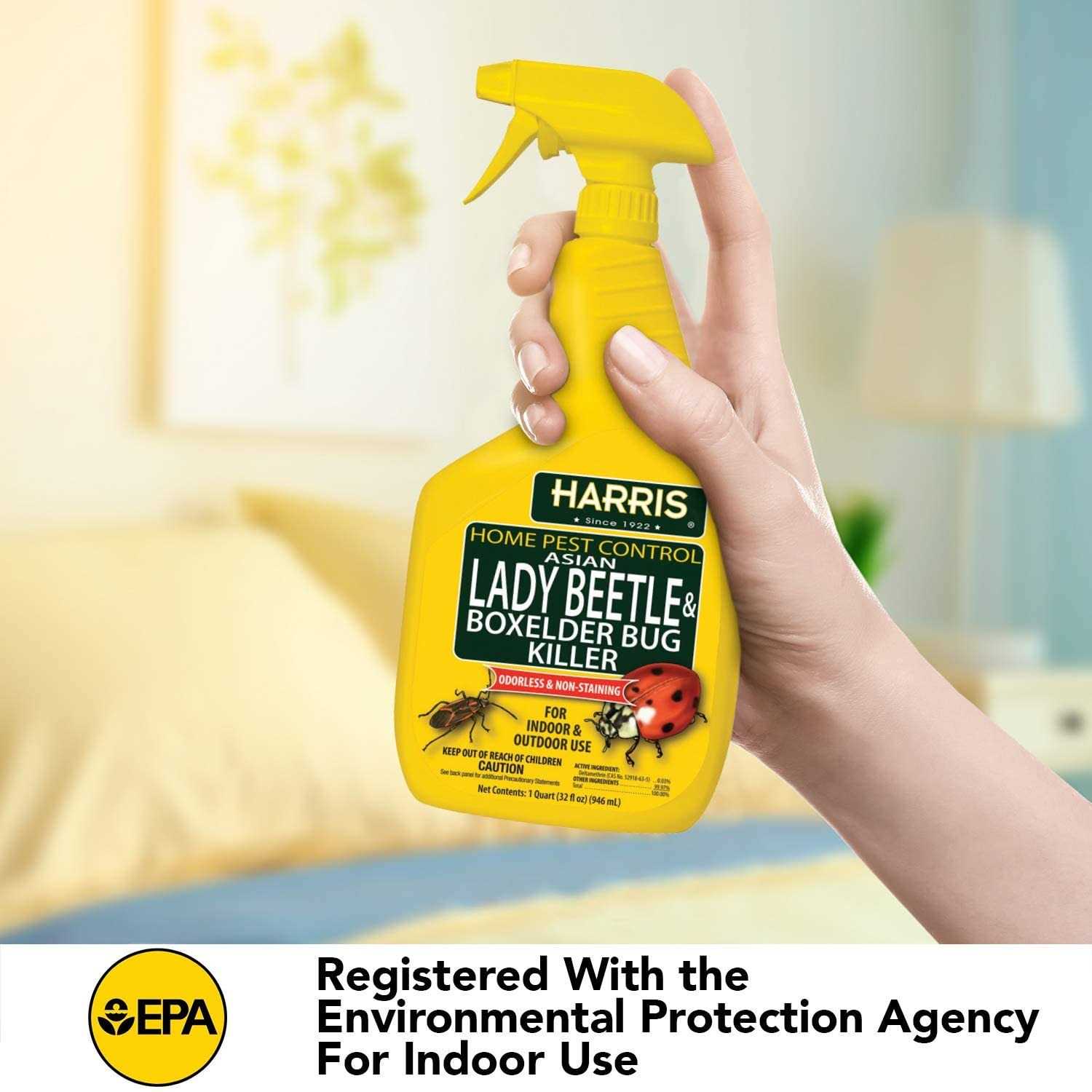 Harris Asian Lady Beetle & Box Elder Bug Killer