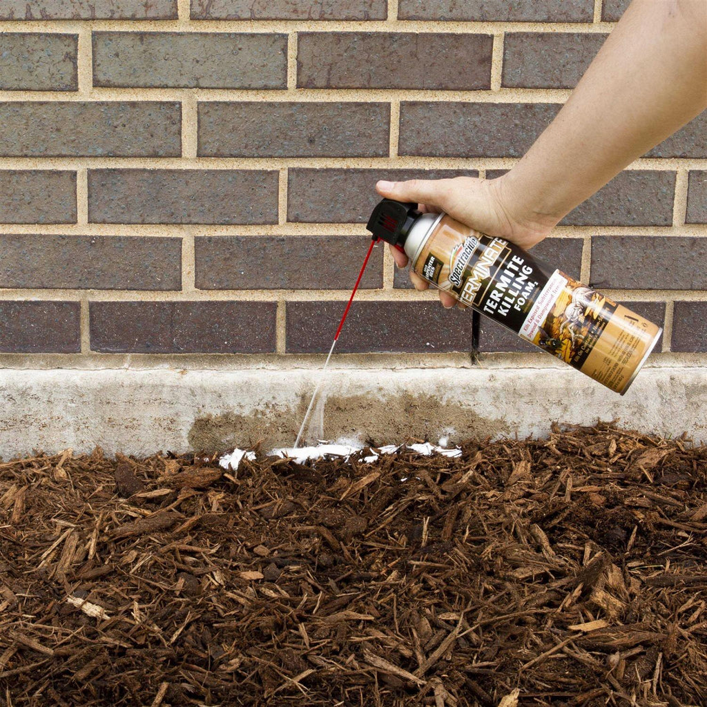 Spectracide 16 oz Termite Killing Foam