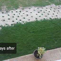 Milorganite Organic Nitrogen Fertilizer