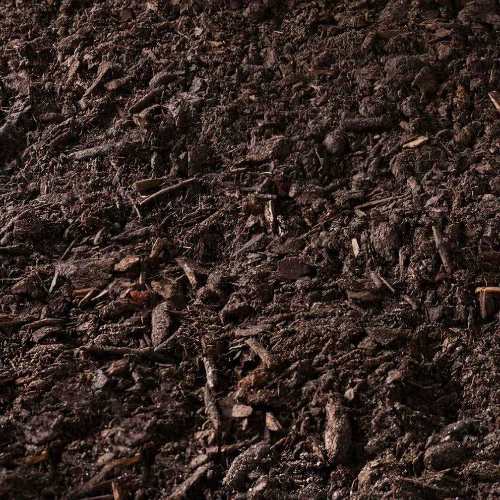 Black Kow Cow Manure