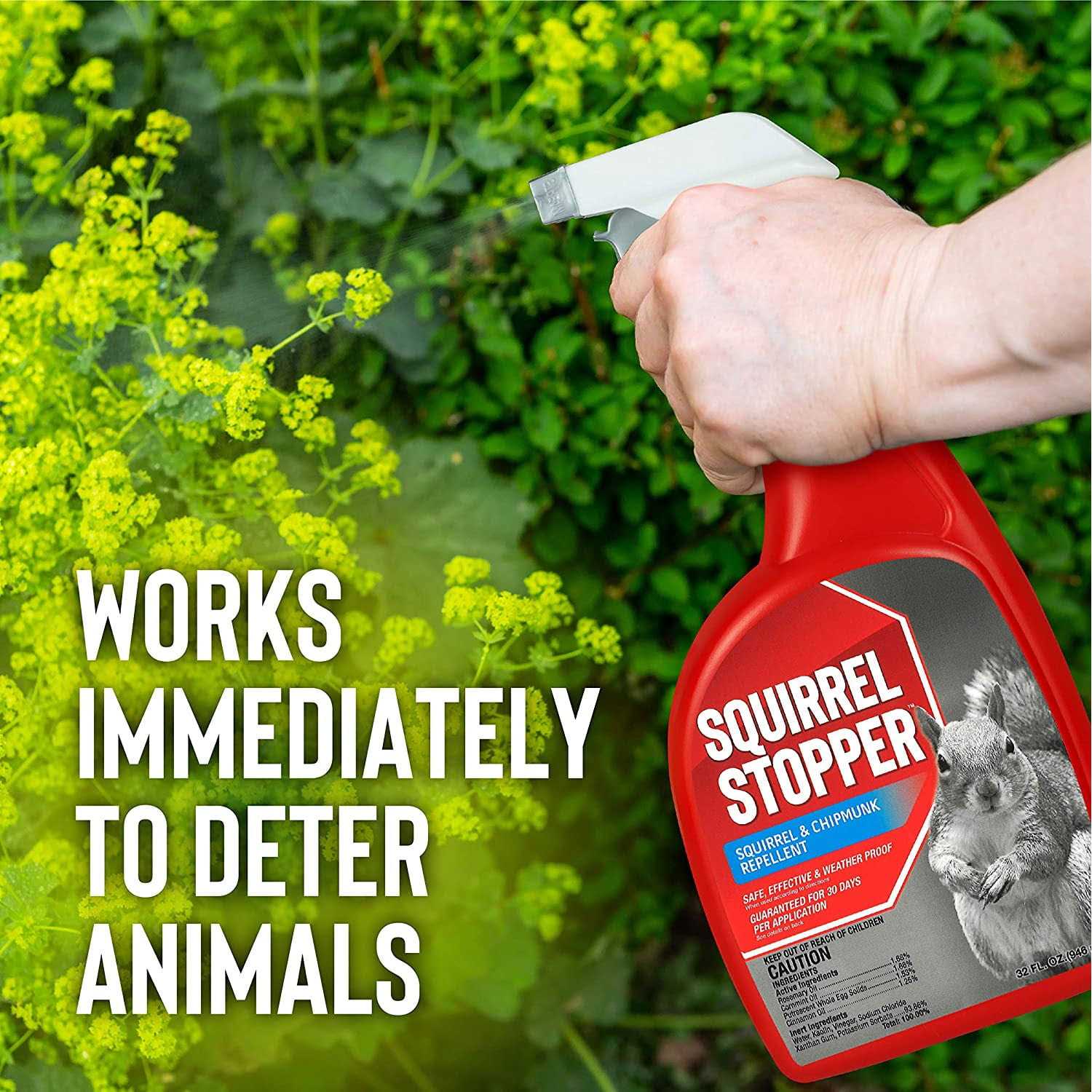 Squirrel Stopper Repellent