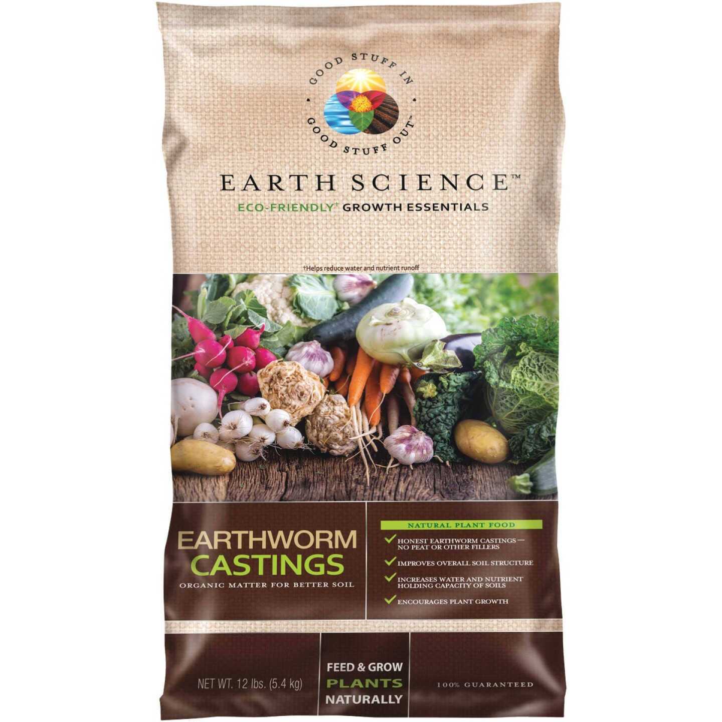 Earth Science Earthworm Castings