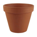 Clay Pot by Ashland