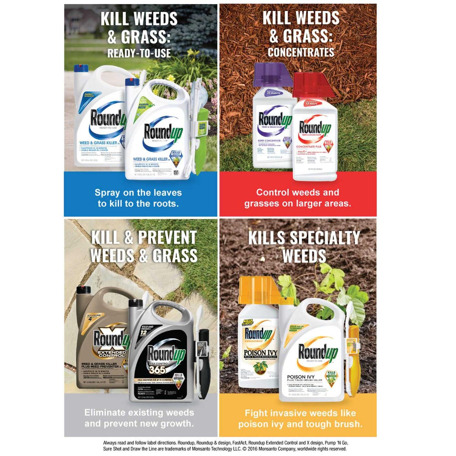 Roundup Concentrate Max Control 365 Vegetation Killer