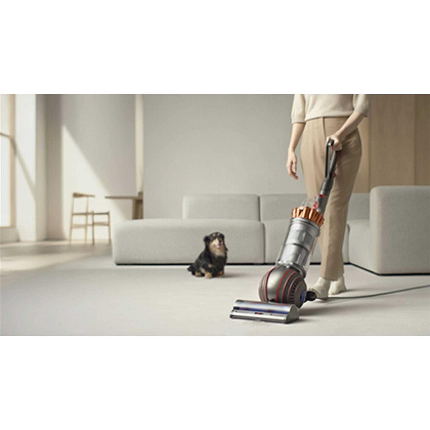 Dyson Ball Animal 3