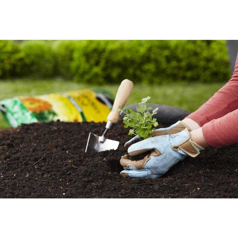 Miracle Gro All Purpose Garden Soil
