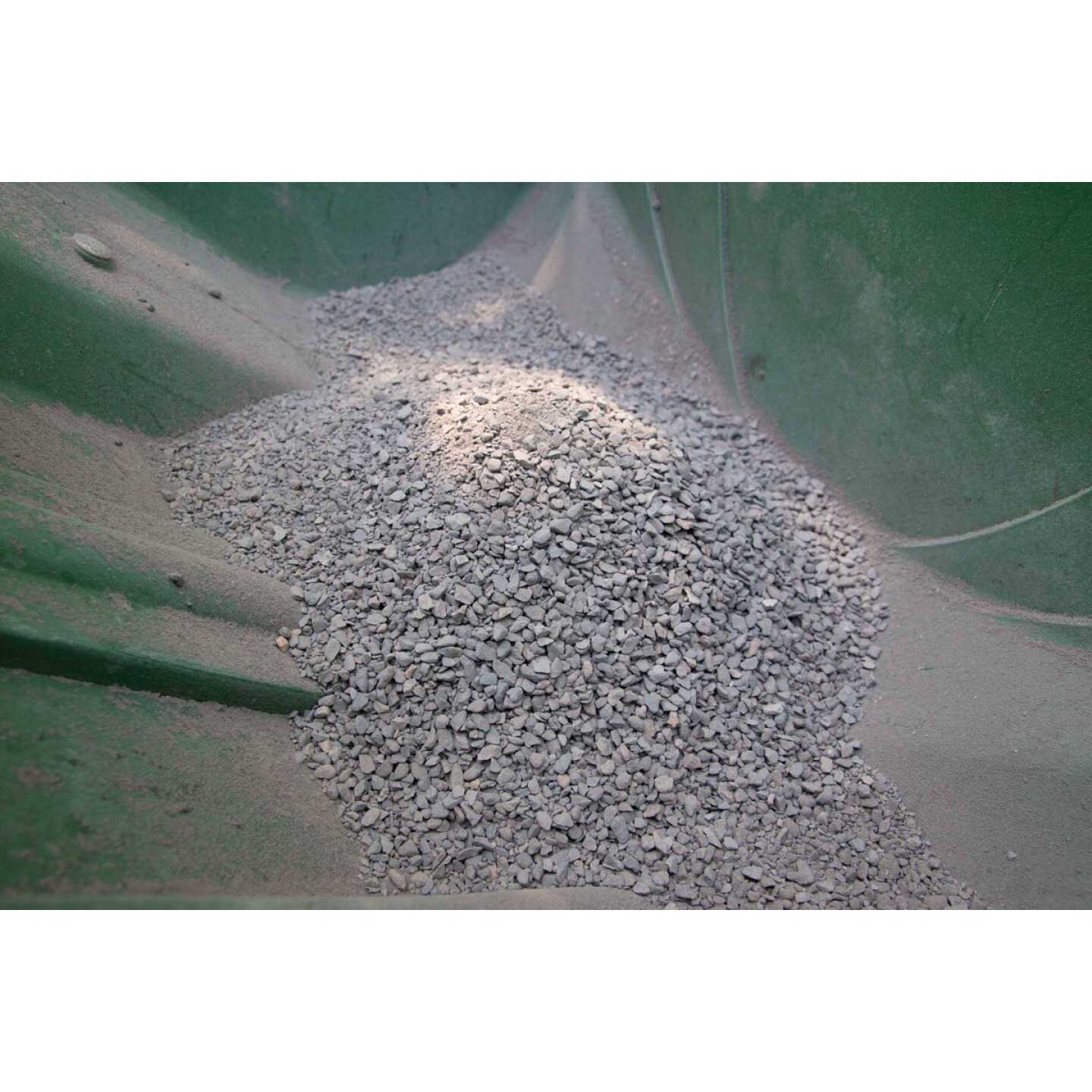 St. Gabriel Organics Milky Spore Granular Japanese Beetle Grub Control