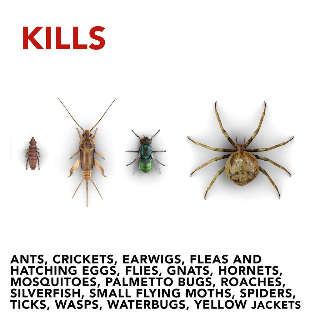 Raid Flea Killer Plus Fogger
