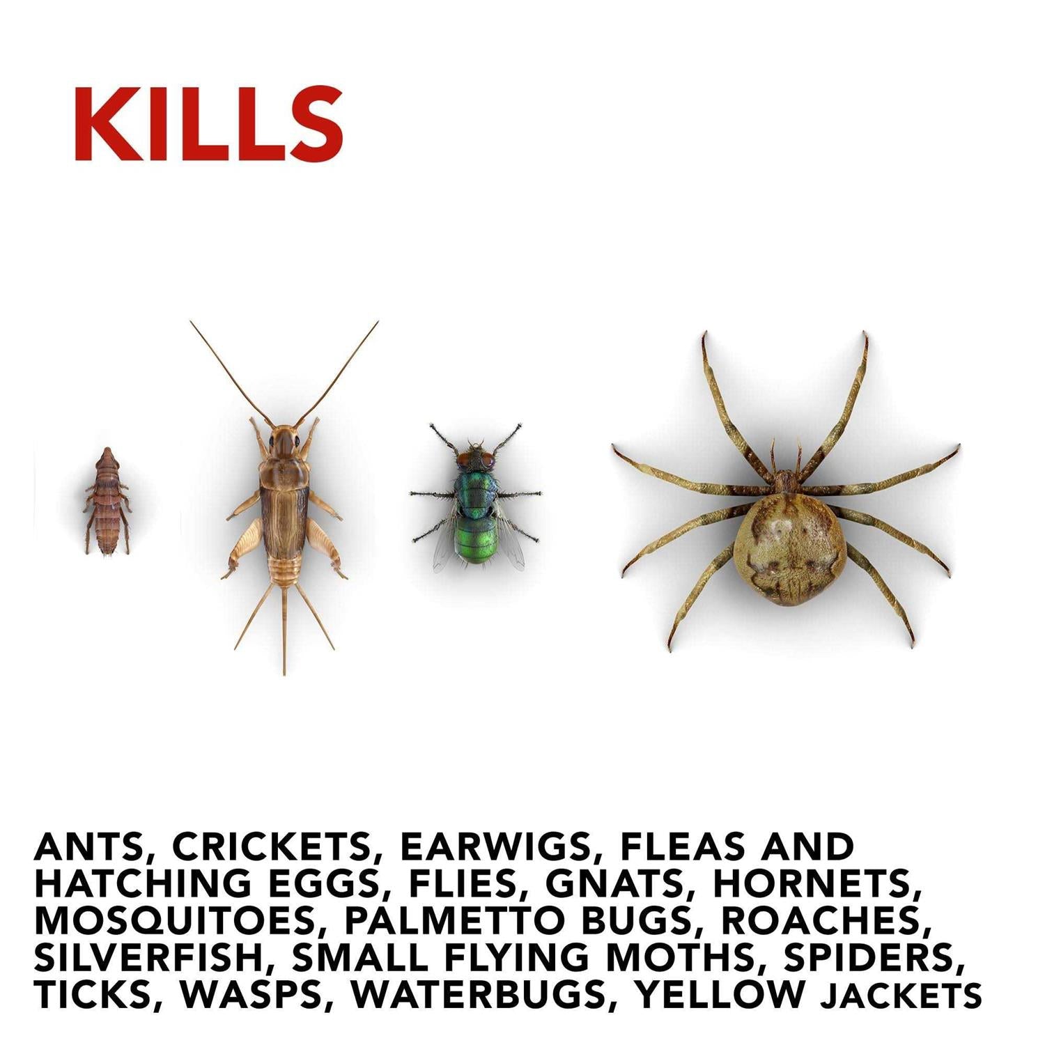 Raid Flea Killer Plus Fogger