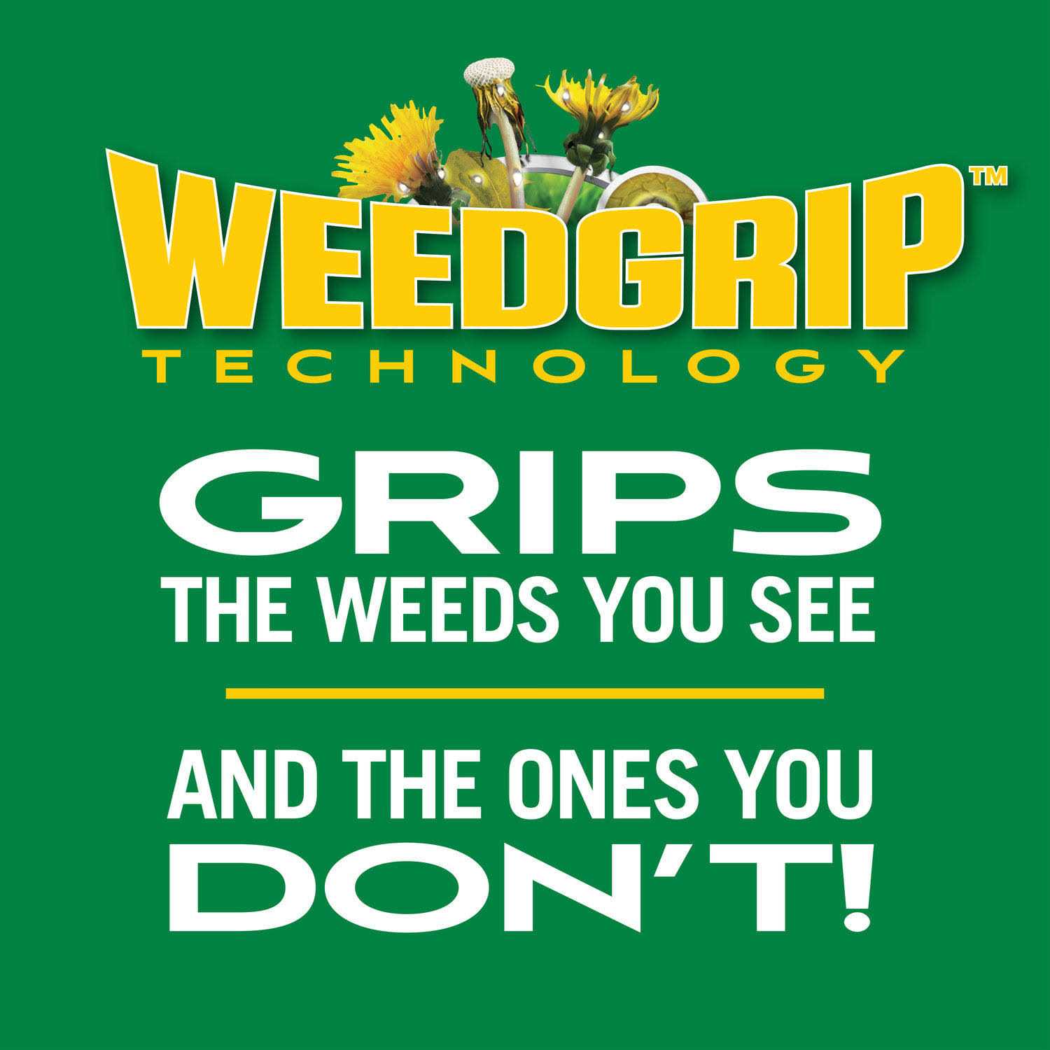 Scotts Turf Builder Weed Feed