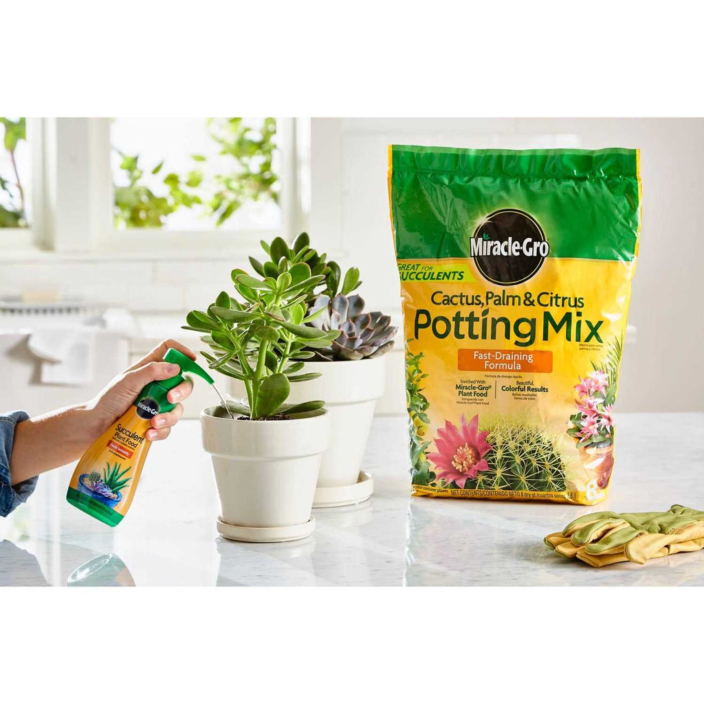Miracle-Gro Cactus Palm Citrus Potting Mix