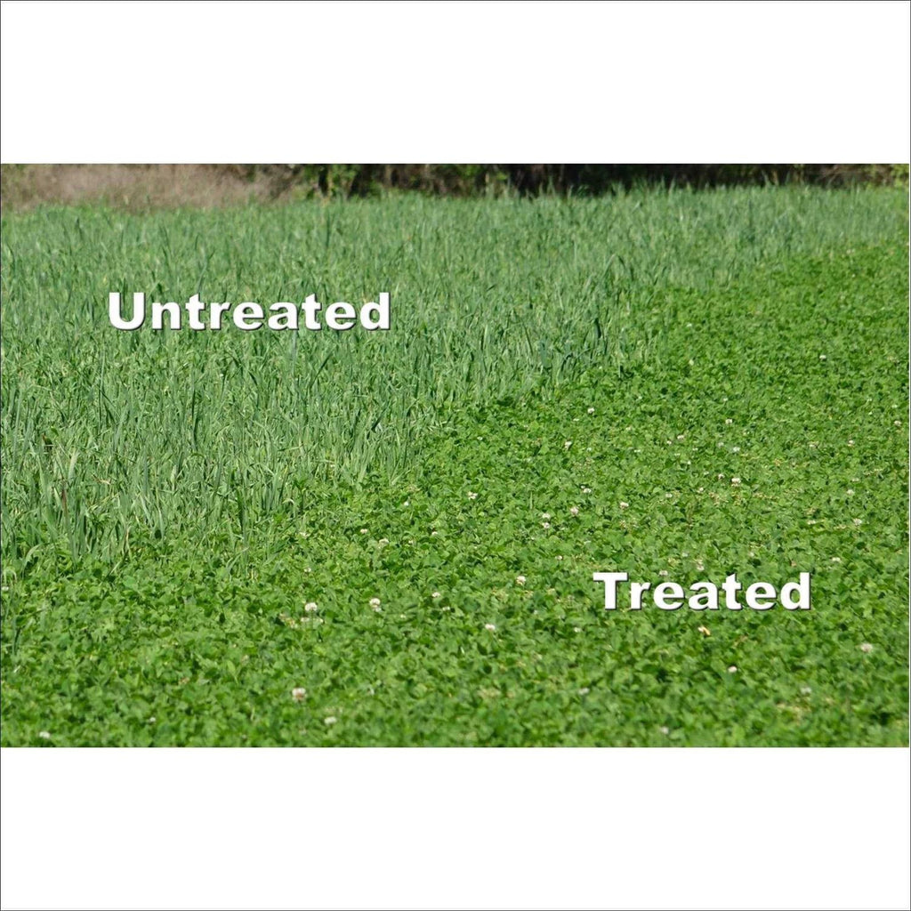 Whitetail Institute Arrest Max Herbicide