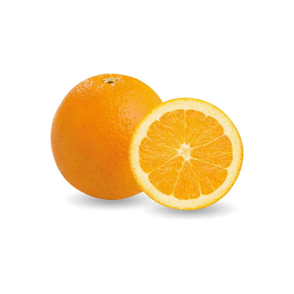 EZ-gro Citrus Fertilizer 20-3-19